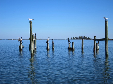 Lookout on the Rappahannock - NHP193 Lookout on the Rappahannock - NHP193